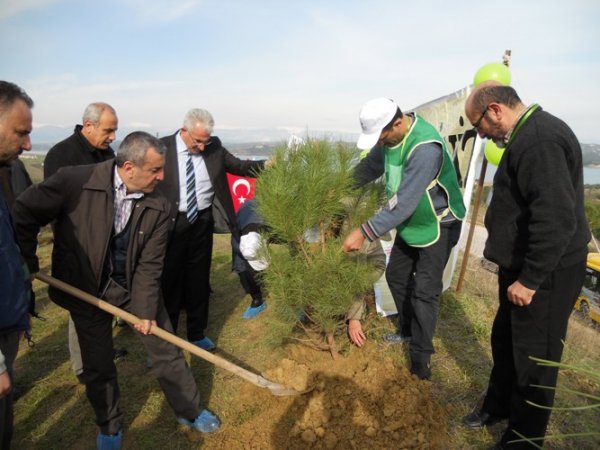 ADANA'DA 600 FISTIK ÇAMI FİDANI TOPRAKLA BULUŞTU